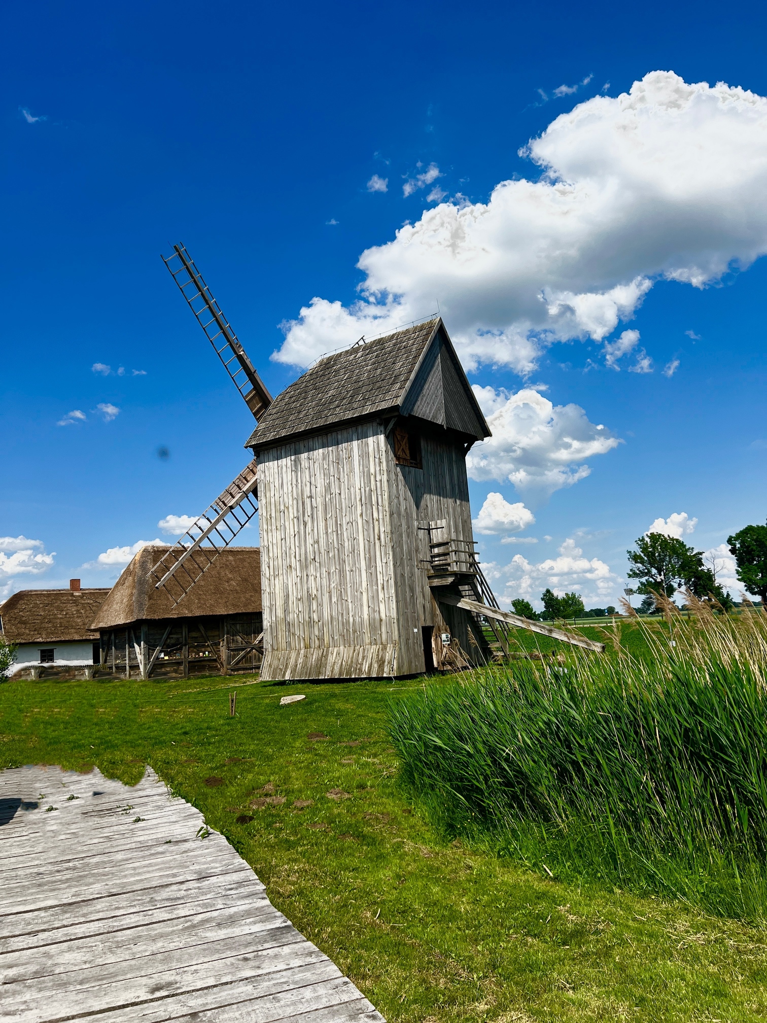 Kłodawa 6